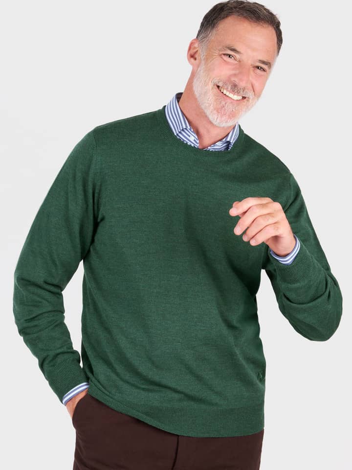 Pine Merino Crew Neck Jumper Model